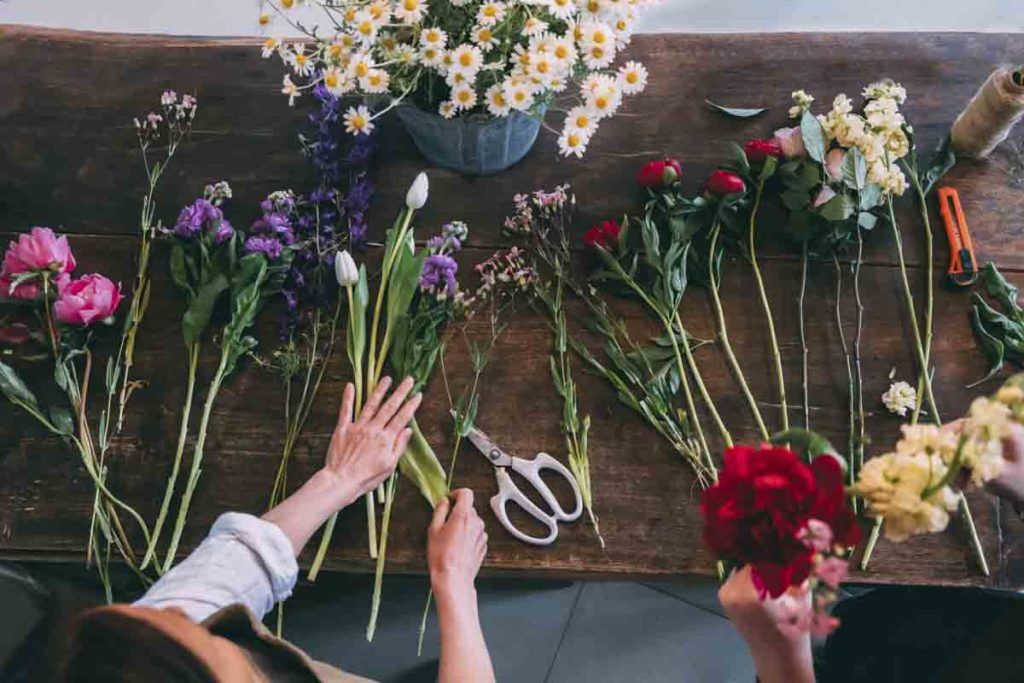 FloristeriaXS 11
