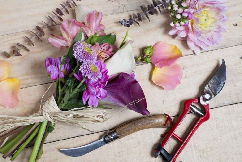 FloristeriaXS 2